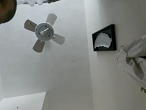 tropikboy online show from March 23, 2026, 12:09 pm