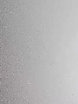 Snapshot of mister-dwt chatting on October 12, 2025, 10:58 am mister-dwt online show from October 12, 2025, 10:58 am