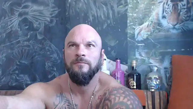 viking 30 online show from September 16, 2025, 6:47 am