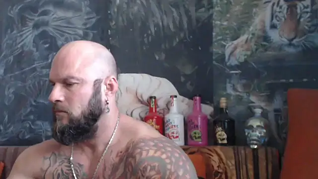 viking 30 online show from October 1, 2025, 7:47 am