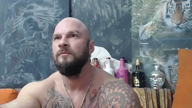 viking 30 online show from October 11, 2025, 5:55 pm