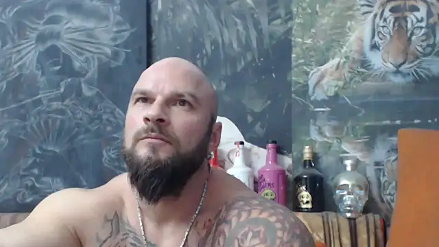 viking 30 online show from November 19, 2025, 7:03 pm