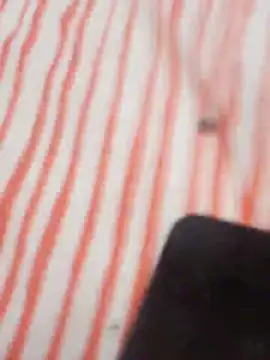 MRbigc23 online show from May 31, 2026, 3:08 pm