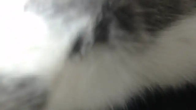 prettyangelsquirt online show from April 8, 2026, 11:27 pm