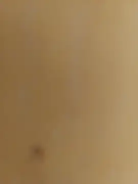 Snapshot of mprena chatting on September 15, 2025, 2:17 pm mprena online show from September 15, 2025, 2:17 pm