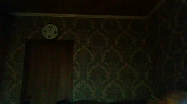 Snapshot of WildMissNiks chatting on December 2, 2024, 9:02 am WildMissNiks online show from December 2, 2024, 9:02 am