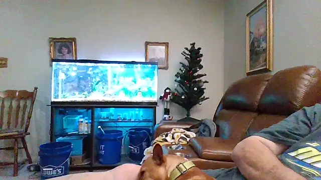 1964peterbilt1 online show from December 30, 2024, 1:48 am