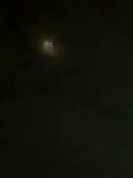 Snapshot of jesusthedonkey chatting on November 30, 2025, 1:31 am jesusthedonkey online show from November 30, 2025, 1:31 am