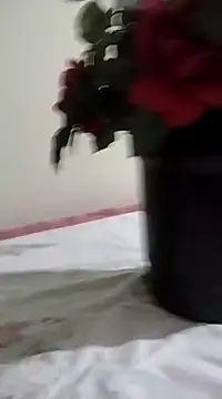 catdool online show from January 23, 2025, 3:26 am