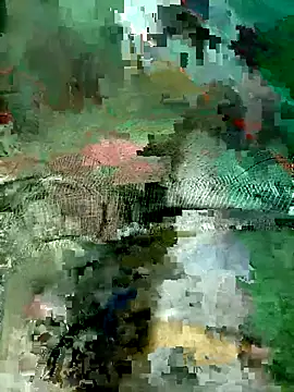 Snapshot of Subhajit12Jana23 chatting on March 19, 2026, 6:50 am Subhajit12Jana23 online show from March 19, 2026, 6:50 am