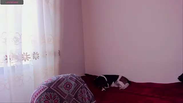 Snapshot of aluna_0310 chatting on December 20, 2024, 8:45 pm aluna 0310 online show from December 20, 2024, 8:45 pm