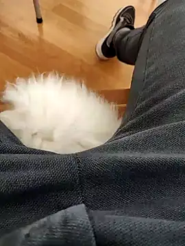 papiculo86 online show from February 2, 2025, 9:08 am