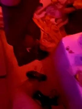 Misspadrona88 online show from February 2, 2025, 10:49 pm