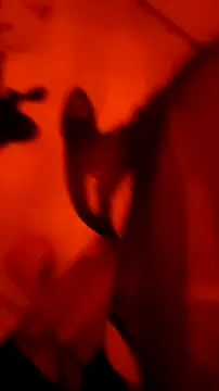 Misspadrona88 online show from March 4, 2026, 9:32 pm