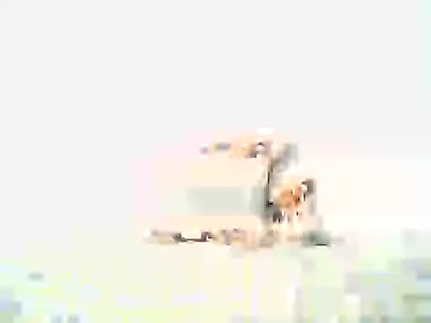 mellow smoke online show from April 10, 2026, 8:02 pm