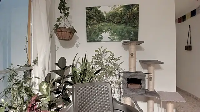 sexnherbs online show from February 11, 2026, 12:37 am