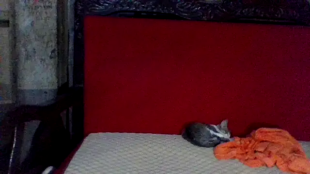 axomen online show from February 16, 2025, 3:58 am