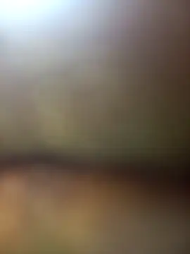 Snapshot of FinableKnee chatting on November 27, 2025, 5:31 am FinableKnee online show from November 27, 2025, 5:31 am