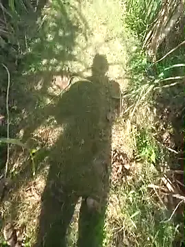 Snapshot of FinableKnee chatting on November 30, 2025, 6:06 am FinableKnee online show from November 30, 2025, 6:06 am