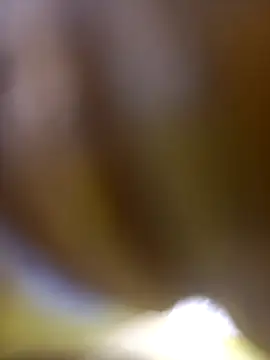 Snapshot of FinableKnee chatting on January 6, 2026, 10:08 am FinableKnee online show from January 6, 2026, 10:08 am