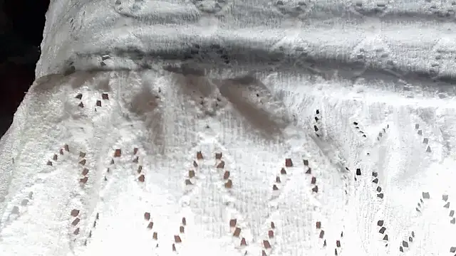 aleera starxx982 online show from January 11, 2026, 11:59 am