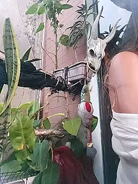 k lebannon online show from February 20, 2025, 8:36 pm