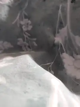 Elixire1 online show from January 6, 2026, 4:32 pm