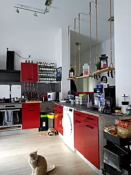 Snapshot of Trucker_Hunter chatting on March 15, 2025, 8:04 am Trucker Hunter online show from March 15, 2025, 8:04 am