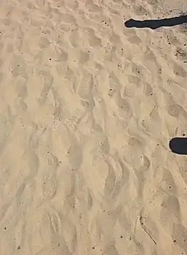 Snapshot of Trucker_Hunter chatting on September 28, 2025, 2:22 pm Trucker Hunter online show from September 28, 2025, 2:22 pm