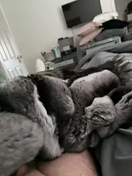 Snapshot of Furdale chatting on October 30, 2025, 2:18 pm Furdale online show from October 30, 2025, 2:18 pm