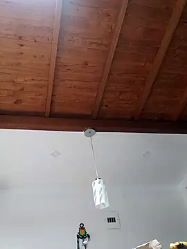 shelby kutter online show from March 2, 2025, 7:23 pm