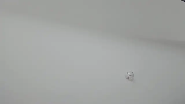 ms pickless online show from January 30, 2025, 12:16 pm