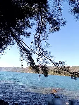 Snapshot of Poyraz6996 chatting on October 17, 2025, 11:46 am Poyraz6996 online show from October 17, 2025, 11:46 am