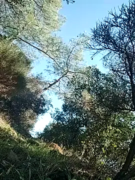 Poyraz6996 online show from November 14, 2025, 11:53 am