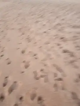 rodovlaz online show from September 17, 2025, 10:44 pm