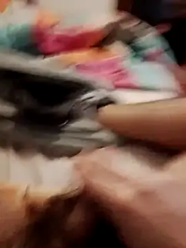 jon763 online show from February 19, 2026, 9:16 am