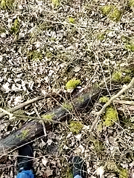 Snapshot of Boring_one chatting on March 17, 2025, 1:50 pm Boring one online show from March 17, 2025, 1:50 pm