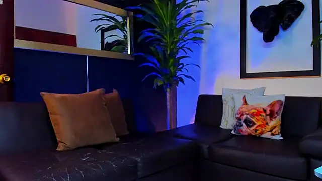 Markboyl online show from February 12, 2025, 12:44 pm