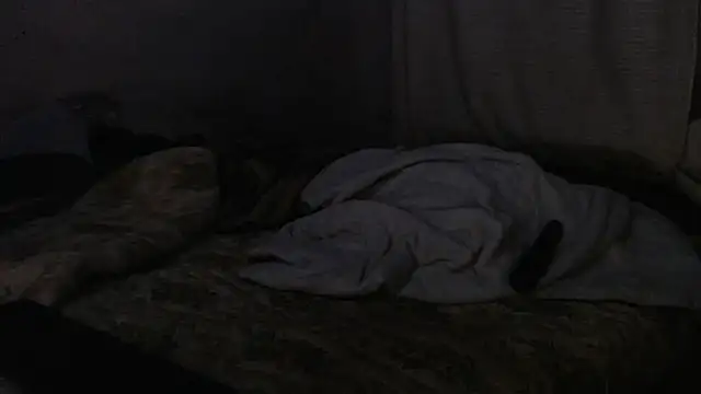 Snapshot of devine_TATAS chatting on September 16, 2025, 7:26 pm devine TATAS online show from September 16, 2025, 7:26 pm