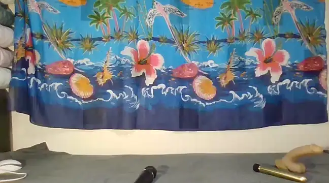 laetitiafun online show from February 9, 2025, 4:29 pm