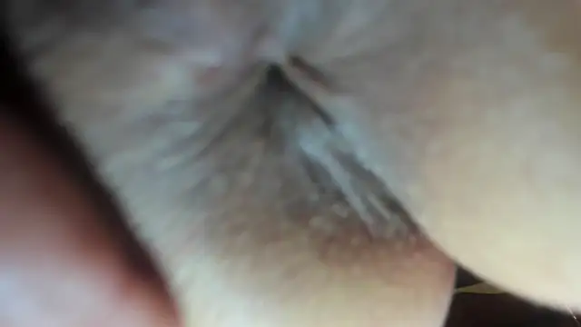 Snapshot of FrumCake chatting on December 21, 2024, 3:47 am FrumCake online show from December 21, 2024, 3:47 am