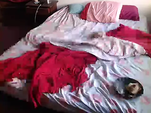 deftoolceles online show from March 23, 2026, 6:56 pm