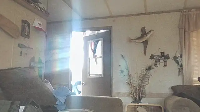 Yankeedave420 online show from November 19, 2025, 6:08 pm