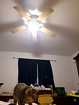 Snapshot of ScarletCallings420 chatting on February 19, 2025, 3:27 pm ScarletCallings420 online show from February 19, 2025, 3:27 pm