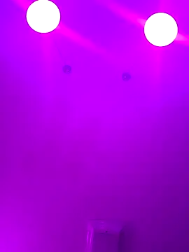 Snapshot of ScarletCallings420 chatting on February 24, 2025, 4:15 pm ScarletCallings420 online show from February 24, 2025, 4:15 pm