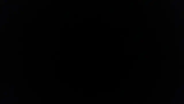 palidin1 online show from February 9, 2026, 3:49 pm