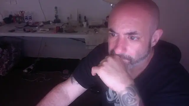 palidin1 online show from July 6, 2026, 9:17 pm
