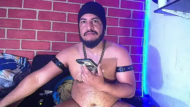 the master foal  online show from January 19, 2025, 12:17 pm