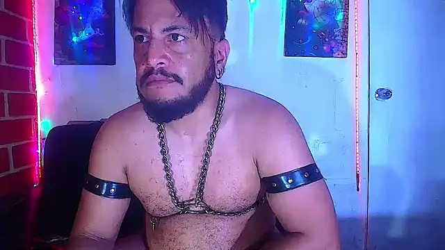 the master foal  online show from March 5, 2025, 1:50 pm