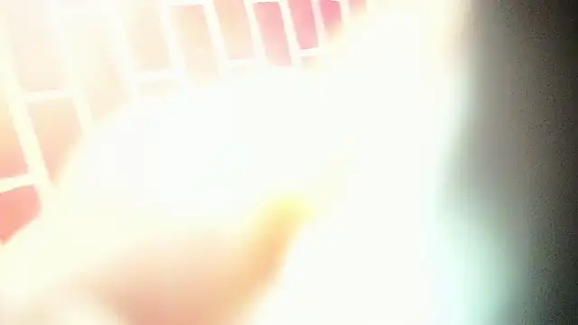 the master foal  online show from March 6, 2025, 4:19 am